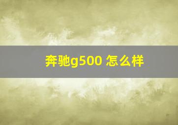 奔驰g500 怎么样